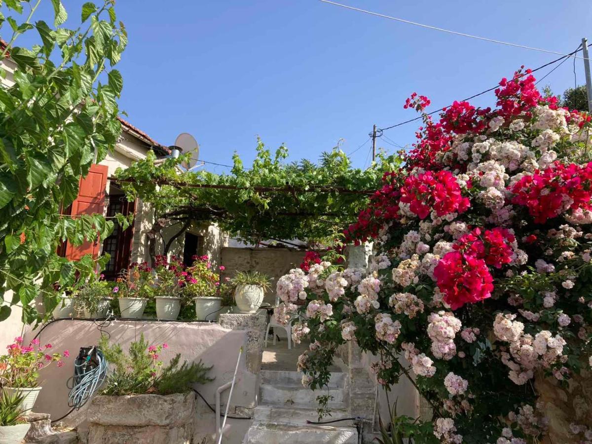 Sergios Village House La Canea Exterior foto